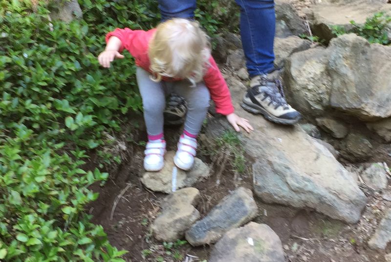 3-5 anika hike