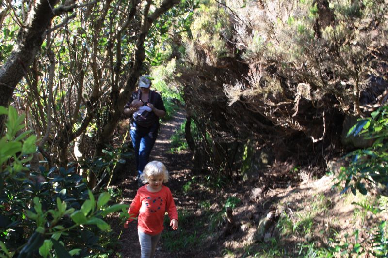 3-5 hike10