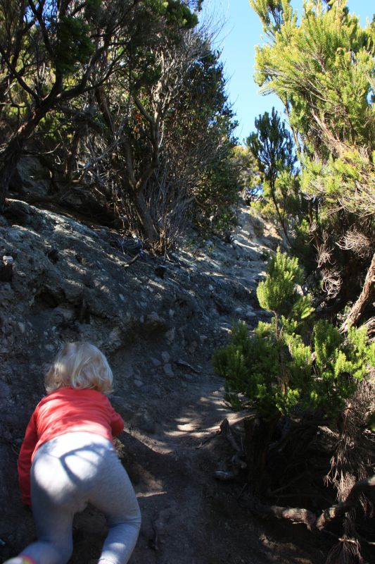 3-5 hike8