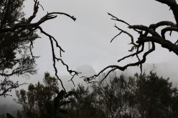 15-4 mistig uitzicht op rots