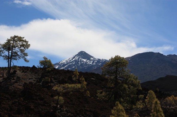 18-4 el teide langs de weg