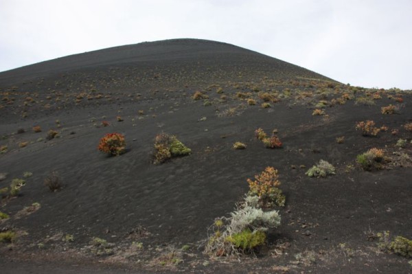 Vulkaanlandschap