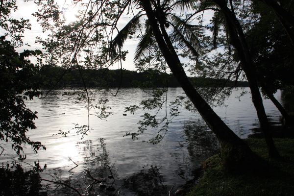 Tortuguero 's ochtends vroeg