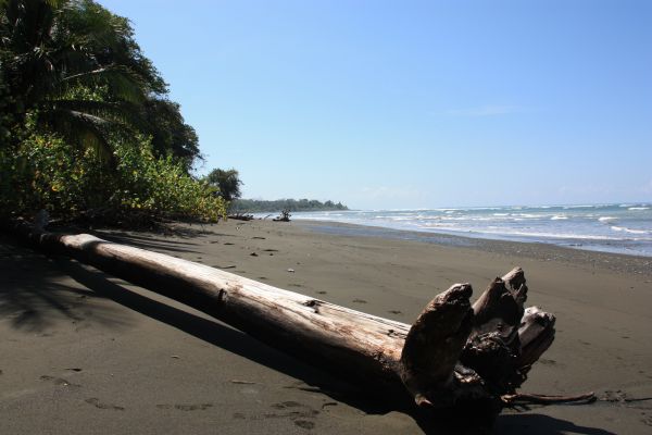 corcovado beach
