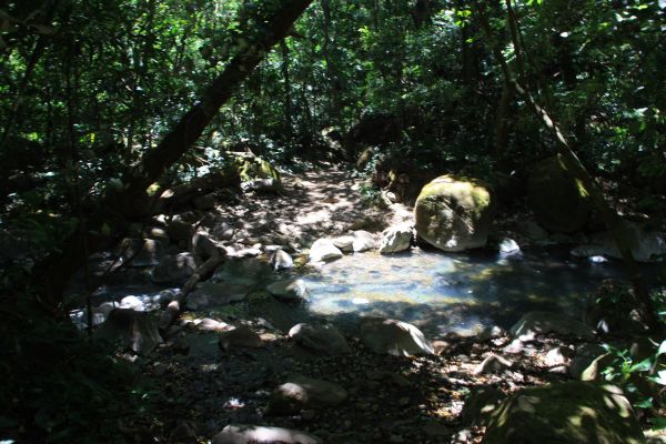 rincon bos2