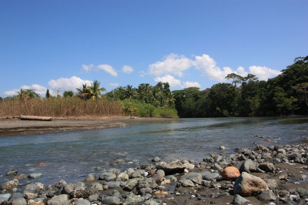 rio sirena