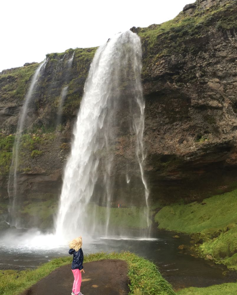 26-8 seljandsfoss pan