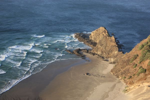 cape reinga rots