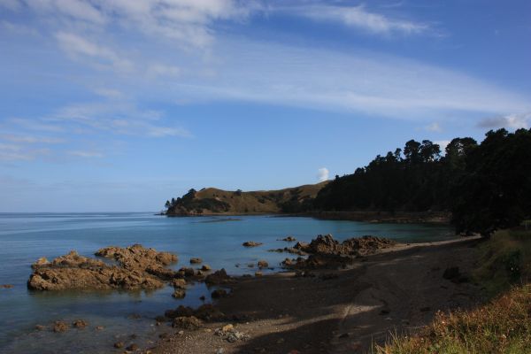 coromandel road