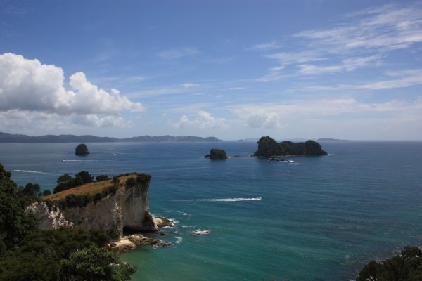 coromandel top2