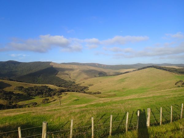 mooie landschappen op weg naar Cape Reinga