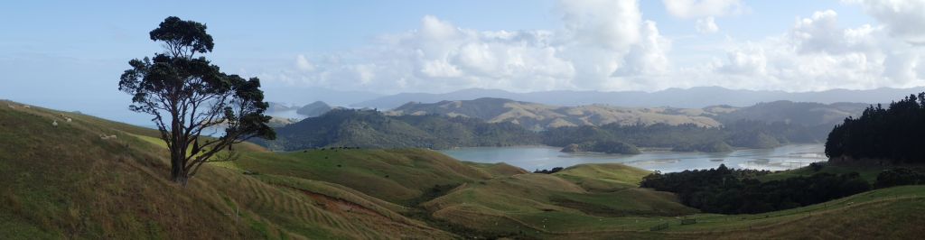 Viewpoint onderweg van Coromandel naar Waitomo