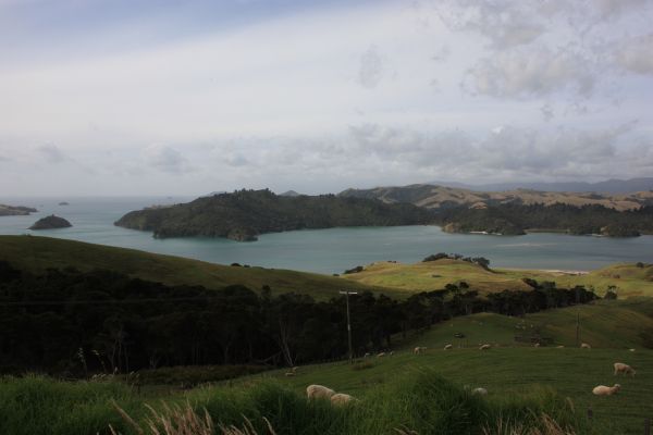 uitzicht onderweg coromandel