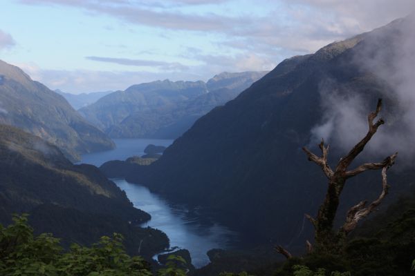 doubtful sound vp