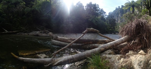 Pororai River Track (zie ook bovenstaande foto's)