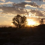 australie thumb4